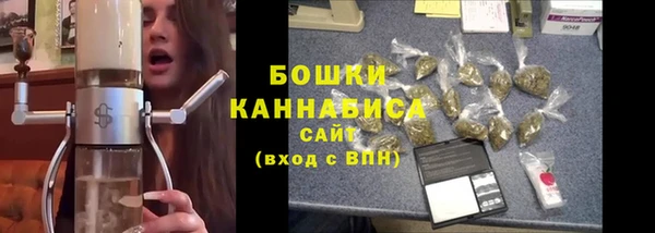дурь Бородино