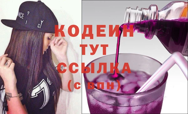 дурь Бородино