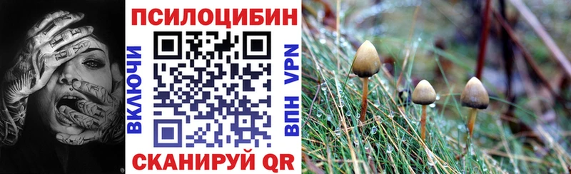 Галлюциногенные грибы прущие грибы  Кодинск 